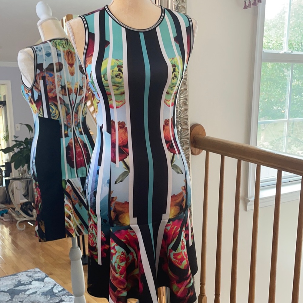 Clover Canyon dress
